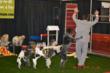 "Ultimate K9 Grass" Join as a Main Sponsor in the Upcoming...